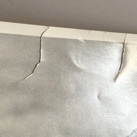 c1970 Original Grasshopper Black White Photograph Steven Willhite Glen Ellen IL - Picture 3 of 8